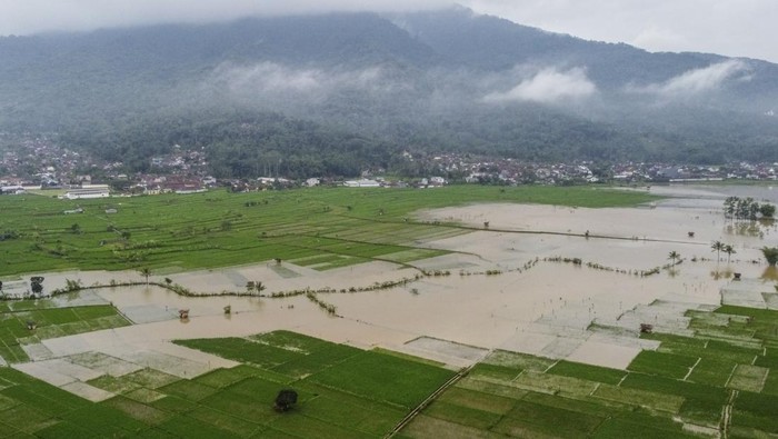1747976917161-banjir-rendam-95-hektare-sawah-di-ciamis-1747970923073_169