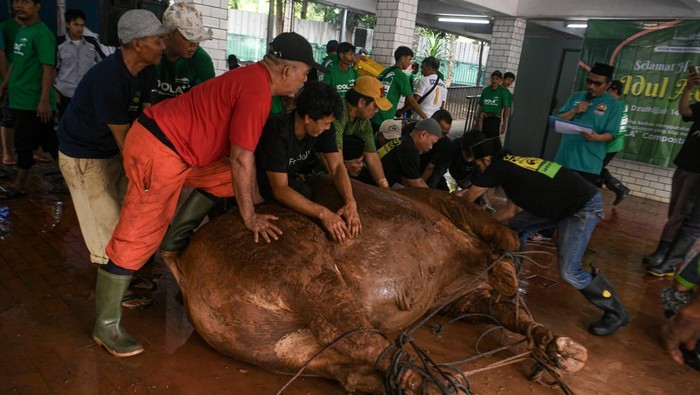 1749294427443-istiqlal-potong-136-hewan-kurban-termasuk-sapi-prabowo-1749270489479_169