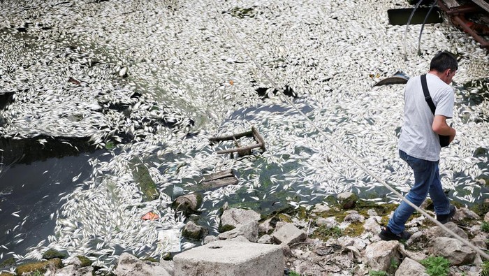 1752404803241-ikan-ikan-mati-di-sungai-sava-picu-kekhawatiran-akan-krisis-lingkungan-1752386211382_169