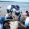 1754391966919-doni-ismanto-darwin-1754391495331