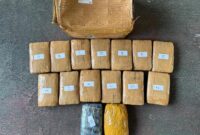 1759145817615-barang-bukti-15-kg-ganja-yang-disita-polisi-dari-penangkapan-di-bekasi-dokistimewa-1759143549560_43