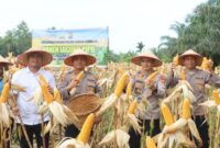 1761391997649-polres-dumai-panen-1-ton-jagung-dukung-ketahanan-pangan-nasional-1761384306564_169