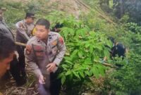 1761456808340-polisi-saat-mengevakuasi-potongan-tubuh-bayi-yang-diduga-dimutilasi-dan-dibuang-di-bibir-ngarai-sianok-kota-bukittinggi-antara-1761448137341_169