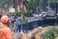 1761478488597-mobil-lexus-tertimpa-pohon-tumbang-di-pondok-indah-dok-bpbd-dki-1761473822001_169