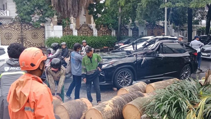 1761478488597-mobil-lexus-tertimpa-pohon-tumbang-di-pondok-indah-dok-bpbd-dki-1761473822001_169
