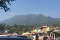 1761478531242-gunung-gede-pangrango_169