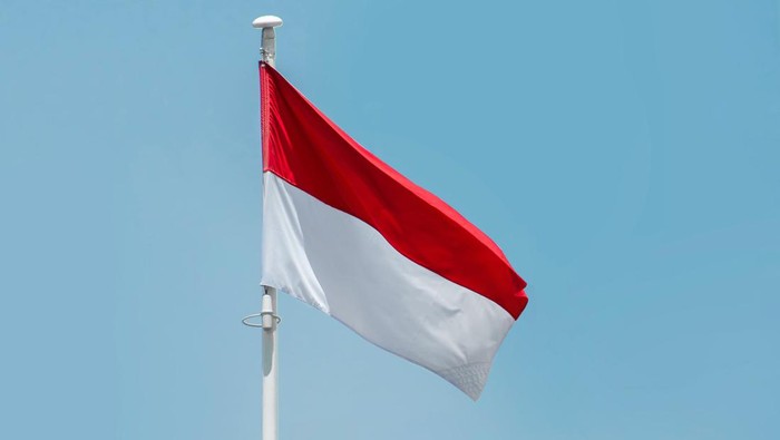 1761543313032-ilustrasi-bendera-merah-putih_169