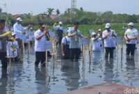 1761543528295-wapres-gibran-menanam-mangrove-di-taman-mangrove-ketapang-kabupaten-tangerang-banten-ariefdetikcom-1761538254939_169