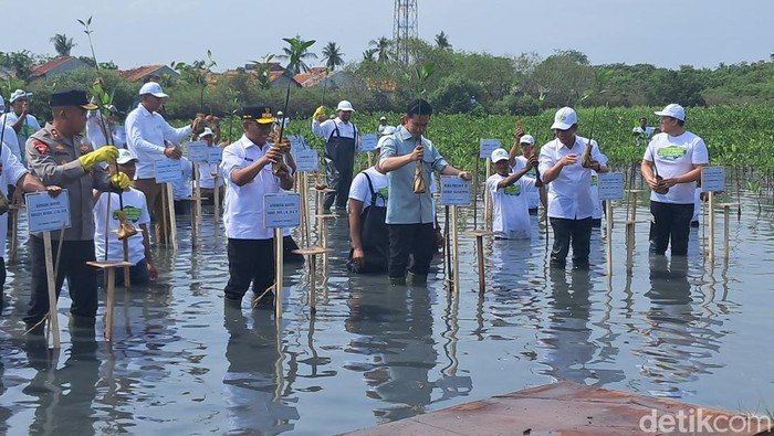 1761543528295-wapres-gibran-menanam-mangrove-di-taman-mangrove-ketapang-kabupaten-tangerang-banten-ariefdetikcom-1761538254939_169