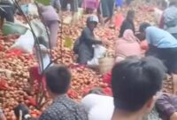 1761716419709-warga-tengah-memungut-bawang-bombai-yang-di-buang-di-kawasan-tanjung-sengkuang-batu-ampar-batam-dok-tangkapan-layar-1761540496474_169