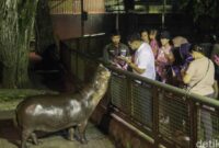 1761716441608-sensasi-baru-wisata-malam-di-taman-margasatwa-ragunan-1760189608943