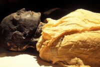 1761737846743-radiokarbon-jam-alami-yang-bisa-menentukan-waktu-kematian-seseorang-1761735212441