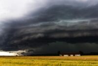 1761759414689-awan-badai_169