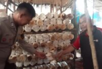 1761759425356-bhabinkamtibmas-di-kota-dumai-riau-sukses-dampingi-warga-dalam-budidaya-jamur-hingga-cabai-1761749438226_169