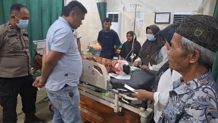 1761780155403-petani-diserang-beruang-1761734711056_169