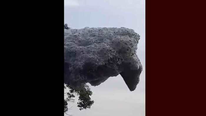 1761824552517-gumpalan-hitam-yang-terbang-di-langit-subang-1761738875770_169