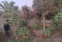 1761845830675-penampakan-kuburan-pria-yang-tewas-terbungkus-terpal-di-kabupaten-siak-riau-1761754162495_169