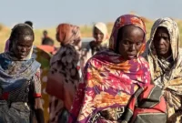 1761889330925-dw-1761886871582_169