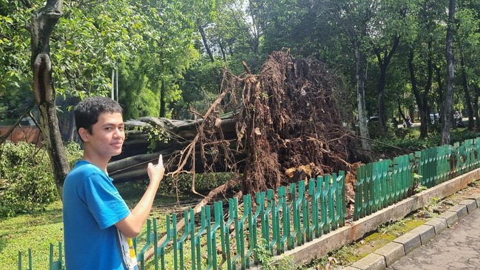 1761889357859-pohon-tumbang-di-dharmawangsa-jaksel-tewaskan-1-orang-taufiqdetikcom-1761884320984_169