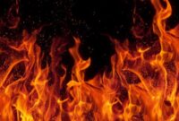 1761889401456-ilustrasi-api_169