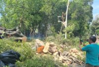 1761889463149-pohon-tumbang-di-dharmawangsa-jaksel-tewaskan-1-orang-taufiqdetikcom-1761884320902_169