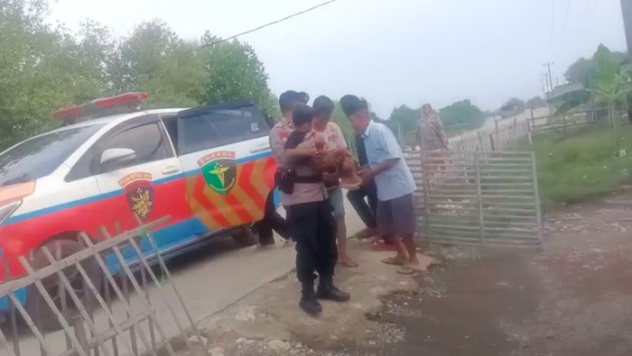 1761910795579-seorang-anak-balita-di-muara-gembong-kabupaten-bekasi-mengalami-sakit-hernia-polisi-mengevakuasi-korban-untuk-dioperasi-di-rs--1761907272471_169