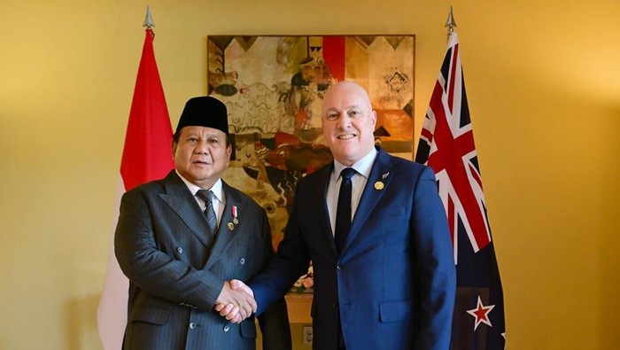 1761910855527-prabowo-subianto-dan-christopher-luxon-1761906173746_169