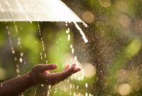 1761910899056-ilustrasi-hujan-1761276974172_169