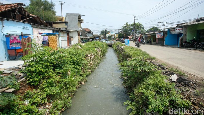 1762083269531-pasca-penertiban-kali-baru-bekasi-lahan-bekas-bangli-kini-dipenuhi-rumput-liar-1762053465211_169
