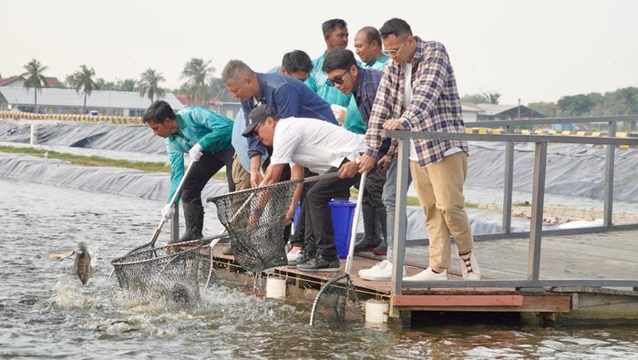 1762083366884-kkp-1762075405934_169