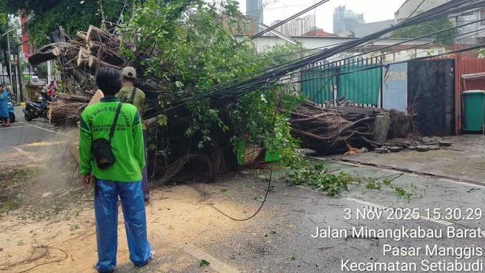 1762169866987-hujan-deras-disertai-angin-kencang-sempat-menyebabkan-pohon-tumbang-di-minangkabau-manggarai-jakarta-selatan-rute-transjakarta-1762167368449_169