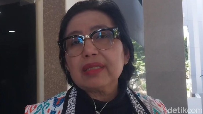 1762429266067-anggota-komisi-ix-dpr-ri-irma-suryani-saat-kunker-ke-pemprov-ntb-rabu-2852025-foto-ahmad-viqidetikbali-1748420962833_169