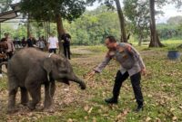 1762429357131-kapolda-riau-irjen-pol-herry-heryawan-patroli-hutan-di-kawasan-konservasi-twa-buluh-cina-kabupaten-kampar-1762423393057_169