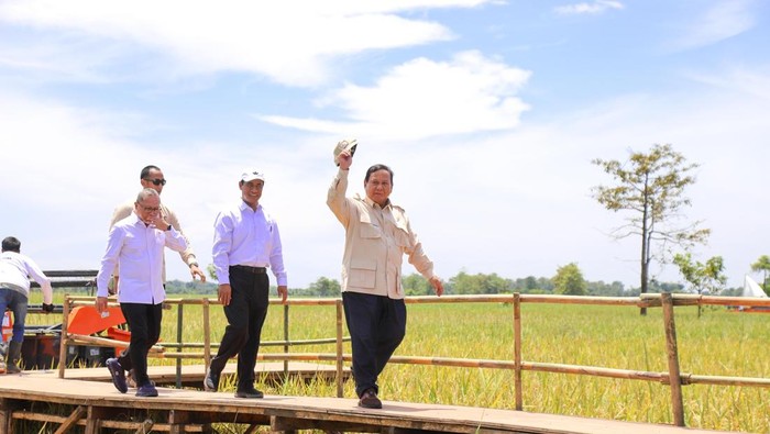 1762601754130-ilustrasi-swasembada-pangan-1762593423433_169