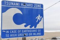 1762688297566-files-us-russia-japan-earthquake-tsunami-1753843530954_169