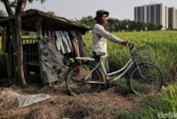 1763012367596-02cf25de-e16b-41af-8ef0-b59a4aa68cd2_169