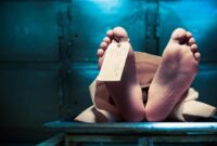 1763120135524-7e57d5cc-112b-410c-bc8b-1dd3f52fbb47_169