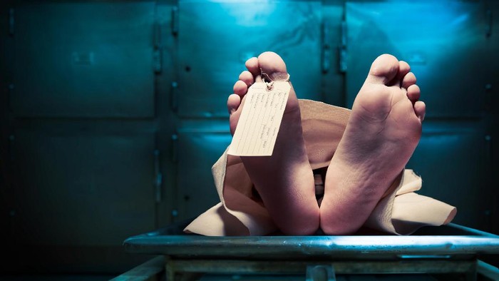 1763120135524-7e57d5cc-112b-410c-bc8b-1dd3f52fbb47_169