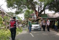1763184618706-pohon-tumbang-menimpa-mobil-yaris-yang-melintas-di-jalan-pahlawan-ciputat-tangsel-1763181481325_169
