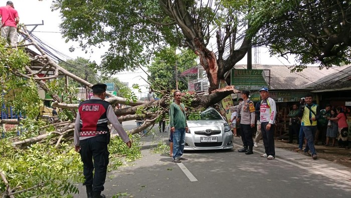 1763184618706-pohon-tumbang-menimpa-mobil-yaris-yang-melintas-di-jalan-pahlawan-ciputat-tangsel-1763181481325_169