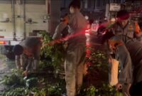 1763271198644-brimob-bersihkan-pohon-tumbang-di-tangsel-1763265059354_169