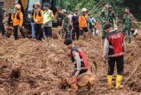 1763335394624-anjing-pelacak-turun-tangan-tim-sar-temukan-2-korban-longsor-di-cilacap-1763293410617_169