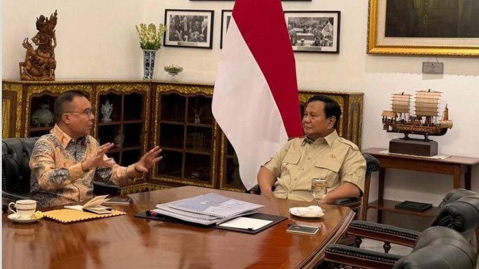 1763379776279-prabowo-bertemu-4-mata-dengan-dasco-di-istana-1763374519768_169