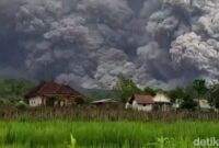 1763550344541-gunung-semeru-luncurkan-awan-panas-55-km-1763547883753_169