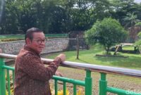 1763615199209-pramono-beri-pakan-harimau-di-ragunan-brigittadetikcom-1763610329514_169