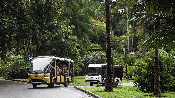 1763658335564-wali-kota-bogor-ajak-delegasi-the-ambassador-summit-2025-keliling-kebun-raya-1763652666548_169