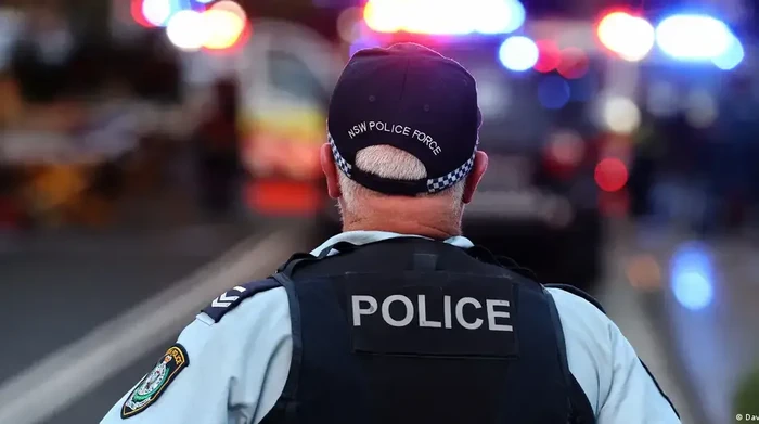 1764587182515-dw-1764584837373_169