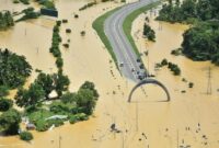 1764587183277-b90d3a58-e022-42b7-84f6-247711023a8a_169