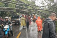 1764759996274-pohon-tumbang-di-jl-muchtar-raya-depok-dok-istimewa-1764758794762_169