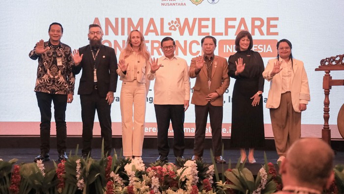 1764997560359-jakarta-dorong-kolaborasi-perkuat-ekosistem-kesejahteraan-hewan-1764995698353_169